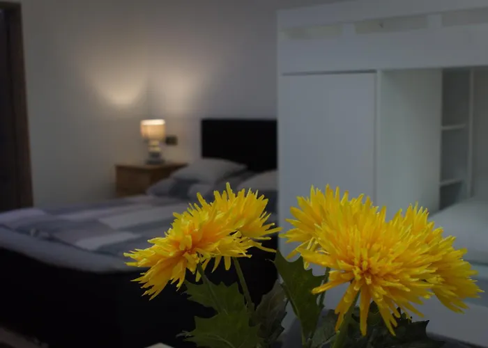 Silver Dream Apartman 3* Debrecen